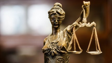 Воронежца осудили за изрезанного ножом брата и забитую до смерти подругу
