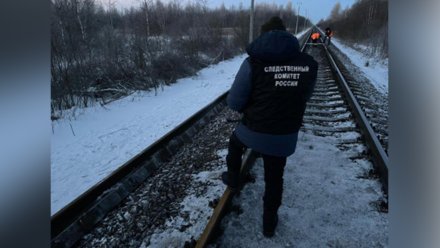 Поезд «Москва – Воронеж» насмерть сбил 54-летнего мужчину