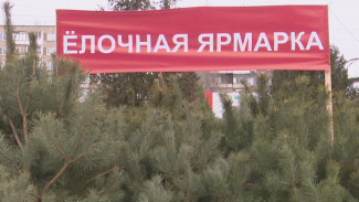 Ёлочные базары откроются в Воронеже 19 декабря