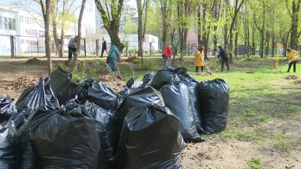 В Воронеже пройдёт общегородской субботник