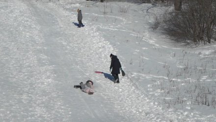 В Воронеже 14-летний мальчик попал в реанимацию после катания с горки в Центральном парке