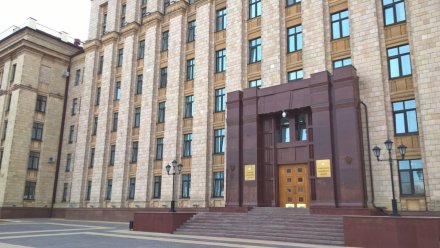 В правительстве Воронежской области предложили создать министерства 
