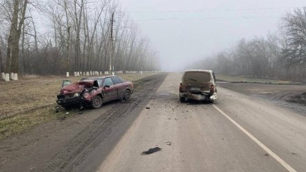 Подросток и трое взрослых пострадали в лобовом ДТП с Audi на воронежской трассе
