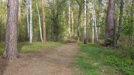 В Воронежском заповеднике закрыли на ремонт «Черепахинскую» экотропу