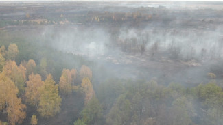 Памятник природы в Воронежской области загорелся по вине поджигателя картофельной ботвы