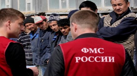 Воронежской области на треть уменьшили квоту по привлечению мигрантов