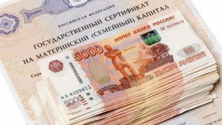 В Воронежской области бизнесвумен оставила 6 женщин без маткапитала