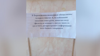 Водоканал отреагировал на слухи о найденных в Воронеже холере и гепатите А