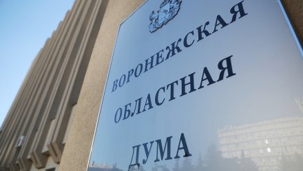 Владимир Нетёсов помог жителям Воронежской области в решении вопросов соцобеспечения и ЖКХ