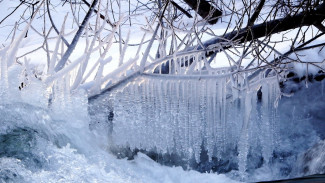 Короткая рабочая неделя в Воронежской области начнётся с похолодания