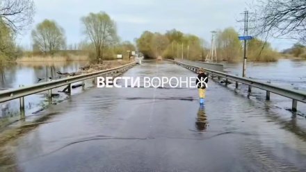 Воронежцы проигнорировали запрет на проезд по затопленному мосту в Ступино