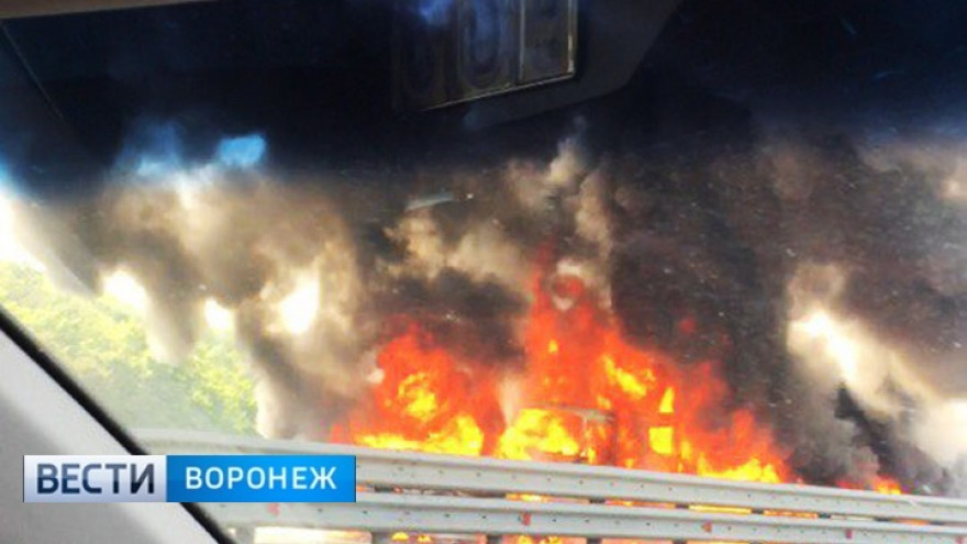 В Воронежской области произошло ДТП с десятками автомобилей – М-4 заблокирована!
