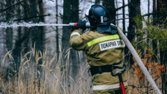 После уничтожившего жилые дома пожара в районе Воронежской области ввели режим ЧС
