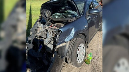 Под Воронежем абхаз на Toyota врезался в Nissan на М-4: пострадали 2 человека