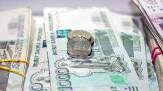 Воронежские оперативники задержали лжебизнесмена за махинации с соцвыплатами