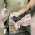 Сотрудники воронежского ресторана спасли от гибели стрижа