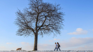 Февральская погода установила в Воронеже температурный рекорд
