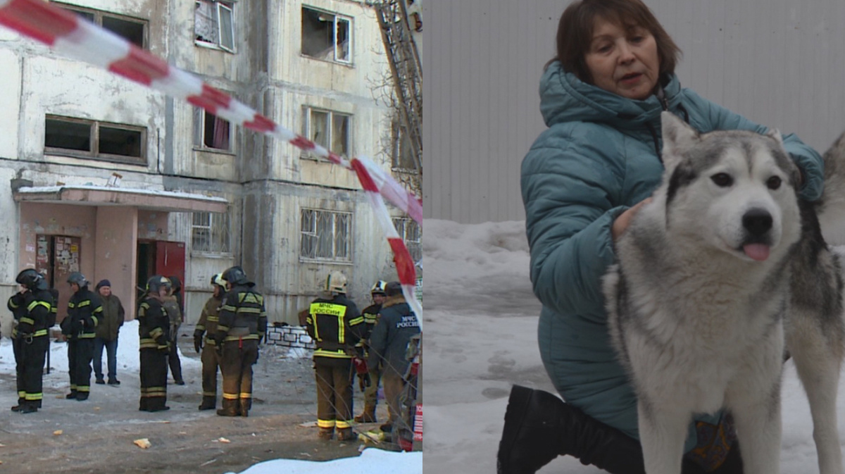 Тонущий хаски и семья с 11 детьми. Кого воронежцам удалось спасти в 2022-м  – Новости Воронежа и Воронежской области – Вести Воронеж