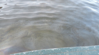 Под Воронежем на реке обнаружили огромное нефтяное пятно