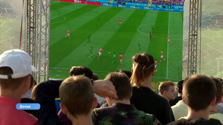В Воронеже установят фан-зоны для массового просмотра чемпионата Европы по футболу