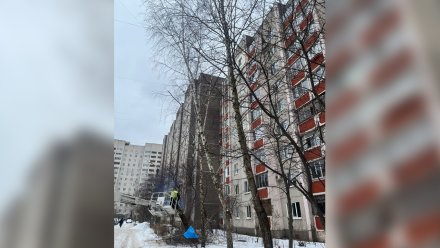 В Северном микрорайоне в Воронеже спилят деревья