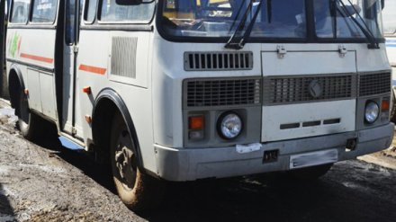 В Воронеже два пешехода попали под колёса маршрутки