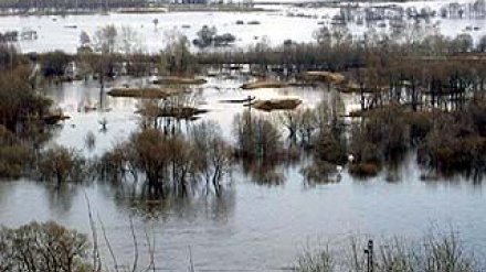 Ожидается резкий подъем воды в реках области