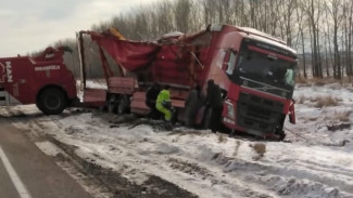 Воронежские полицейские помогли застрявшему на трассу иранскому дальнобойщику