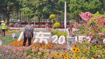 Спасение мальчика, МП без воды, юбилей Есенина. Каким воронежцы запомнили 2025-й год