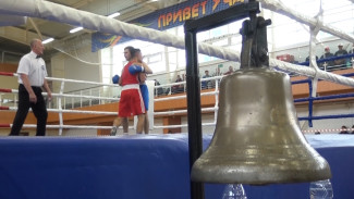 В Воронежской области организовали чемпионат Вооружённых Сил России по боксу