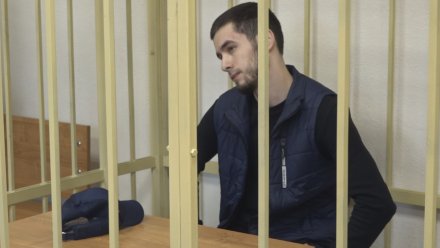 В Воронеже осуждённому на 9 лет смягчили приговор за убийство студента-медика