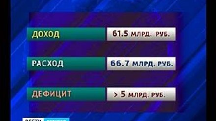 Депутаты облдумы считали бюджет Воронежского региона 2013