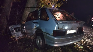 В Воронежской области 27-летний водитель ВАЗа погиб в ДТП с деревом 