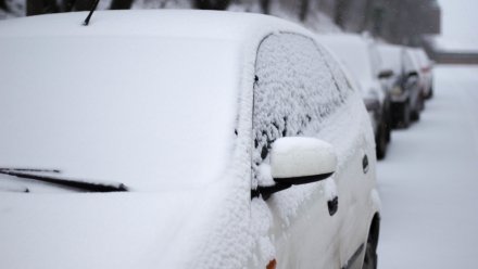 В Воронеже парковки станут бесплатными на 3 дня 