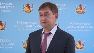 Доходы Воронежской области выросли на 8 млрд рублей