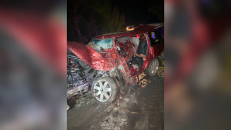 Водитель Range Rover попал в больницу после ДТП с деревом в Воронежской области