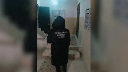 Воронежец до смерти избил знакомую из-за ревности