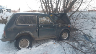 Пьяный водитель ВАЗ врезался в дерево в воронежском селе: 2 пострадавших