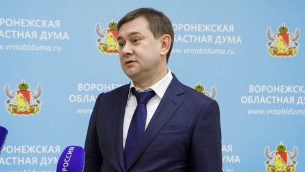 Председатель Воронежской облдумы заработал на 3 млн больше губернатора 