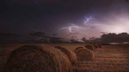 Воронежскую область накроют грозы и мощный ветер