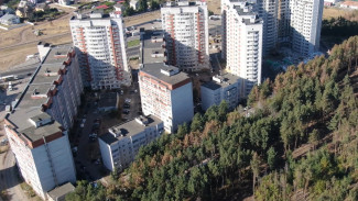 Благоустройство воронежского Северного леса в срок оказалось под угрозой