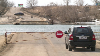 В Воронежской области заработали 5 понтонных мостов через Дон