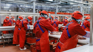 В России открылся ещё один завод по производству мясных полуфабрикатов
