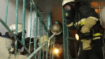 В Воронеже спасатели эвакуировали из горящего дома 6 человек