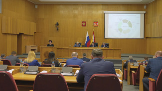 Депутаты Воронежской облдумы ввели дополнительные льготы для родителей детей-инвалидов
