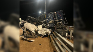 Мужчина пострадал в массовой аварии с фурами на воронежской трассе