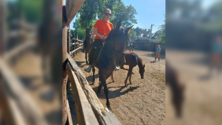 Жительница Воронежа жаловалась на владельца конюшни за 2 года до растления девочки