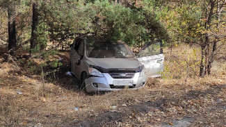 В Воронеже иномарка влетела в дерево: пострадал водитель