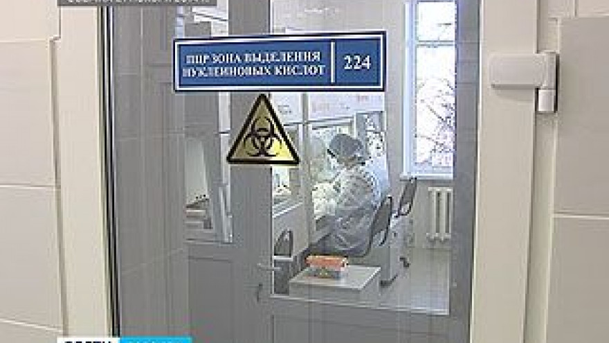 Птицы, которых находили мёртвыми в "Алых парусах", отравились ядом для грызунов