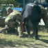 Воронежские силовики накрыли кол-центр мошенников